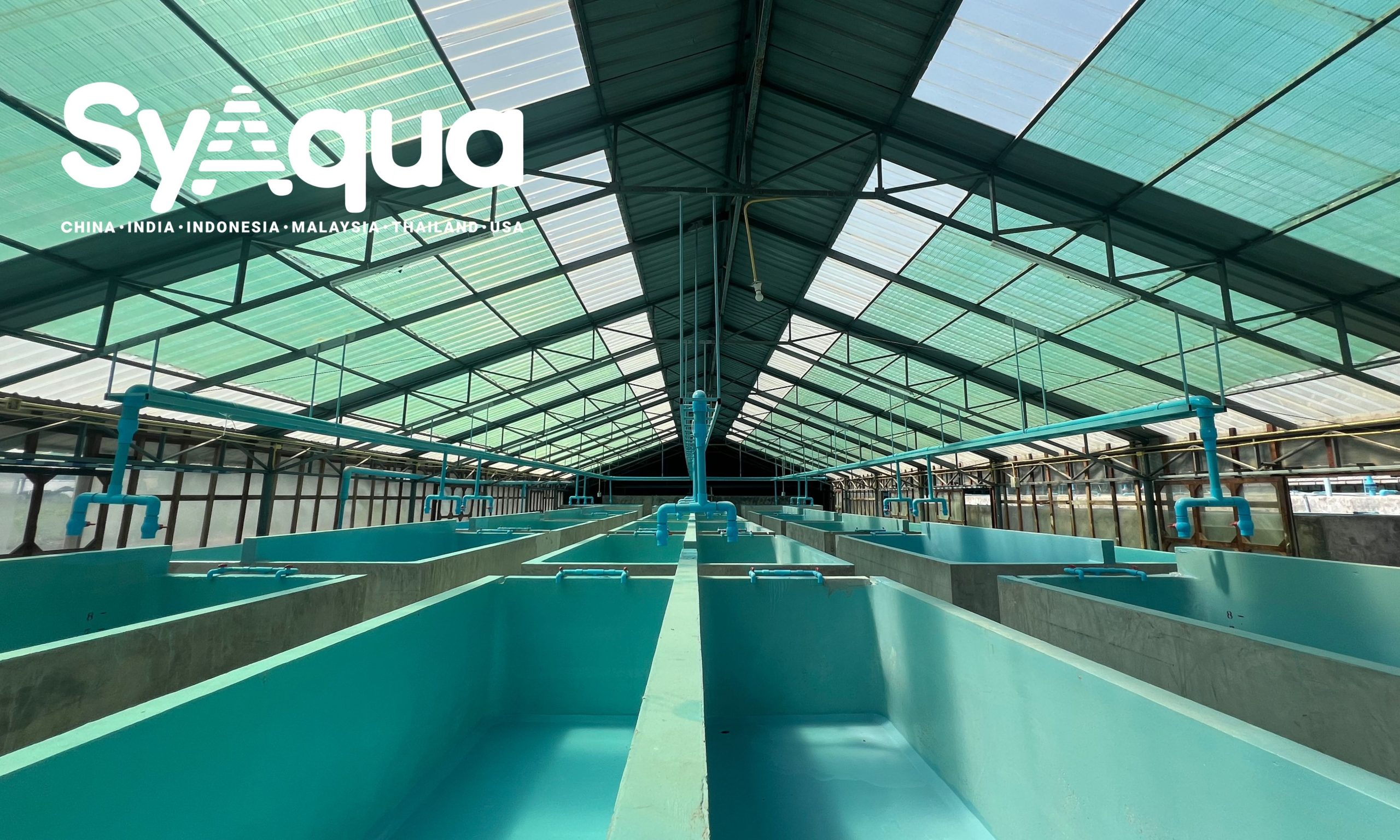 SyAqua