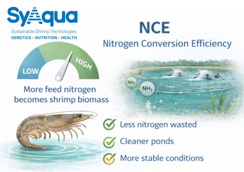 SyAqua Genetics