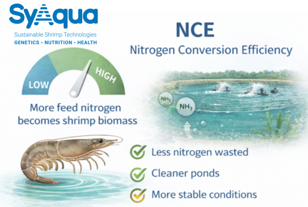 SyAqua Genetics