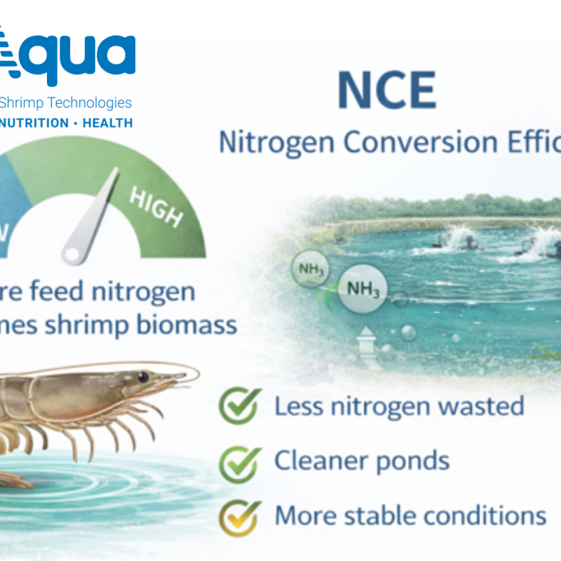 SyAqua Genetics